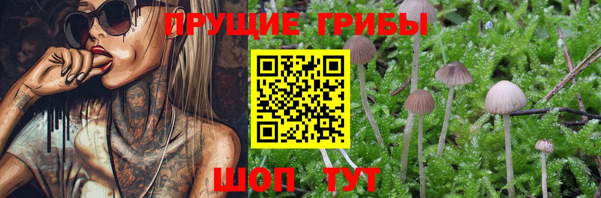 Искитим  купить  сайты  Вход с VPN  Галлюциногенные грибы мицелий 